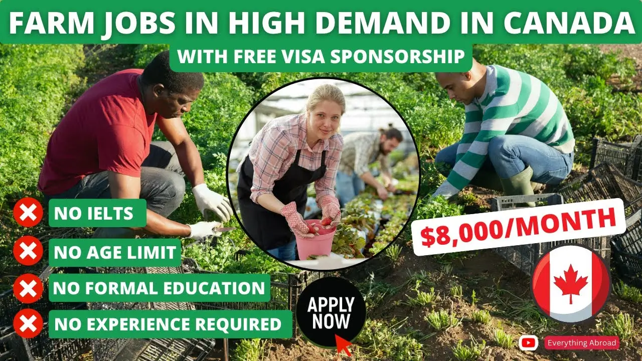 High-Paying Fruit Picking Job In Canada With Free VISA Sponsorship