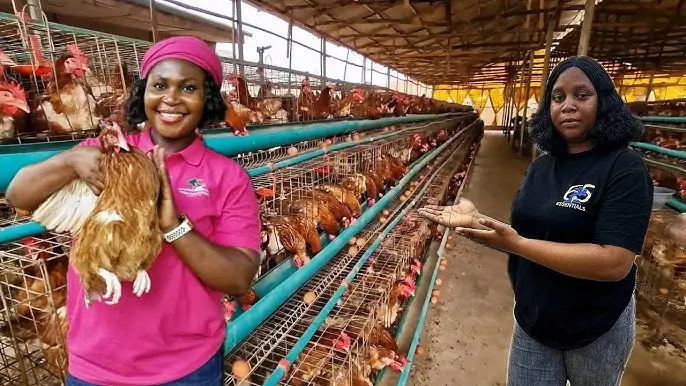 Poultry Jobs In USA For Foreigners With VISA Sponsorship